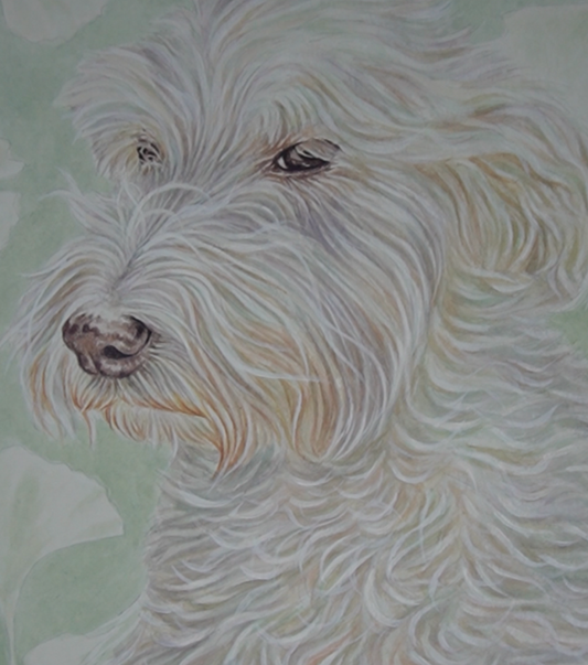 Retrato Extra
