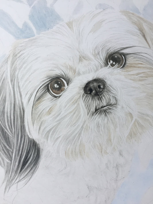 Retrato Grande