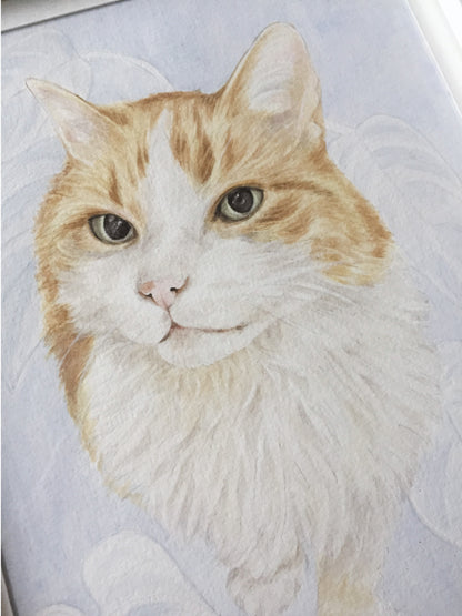 Retrato Pequeño
