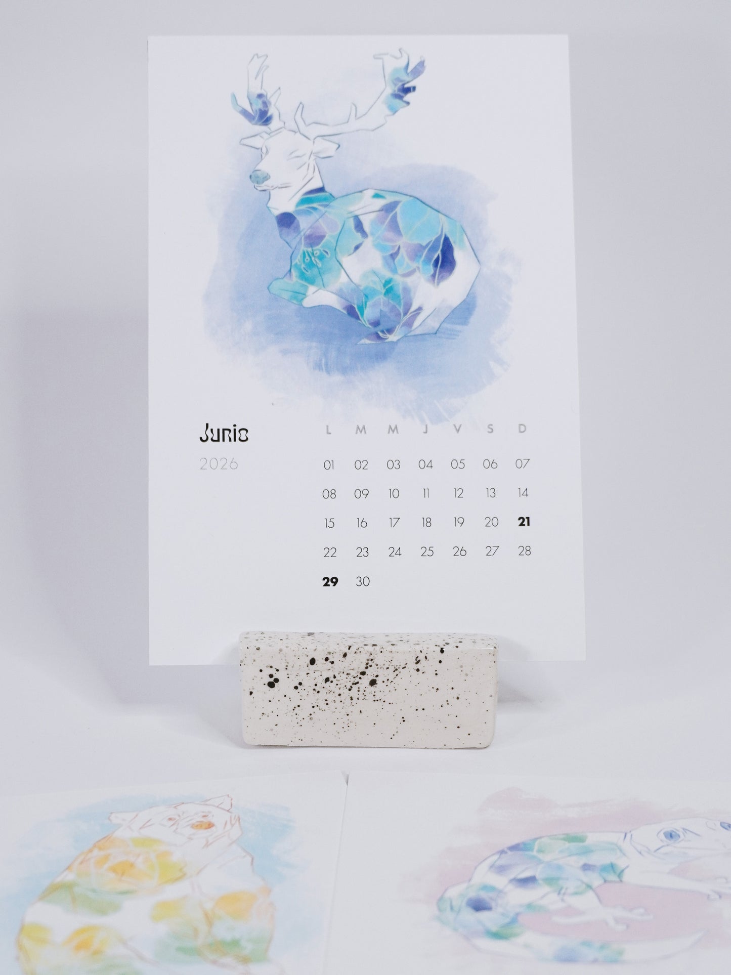 Calendario Ciclo Austral