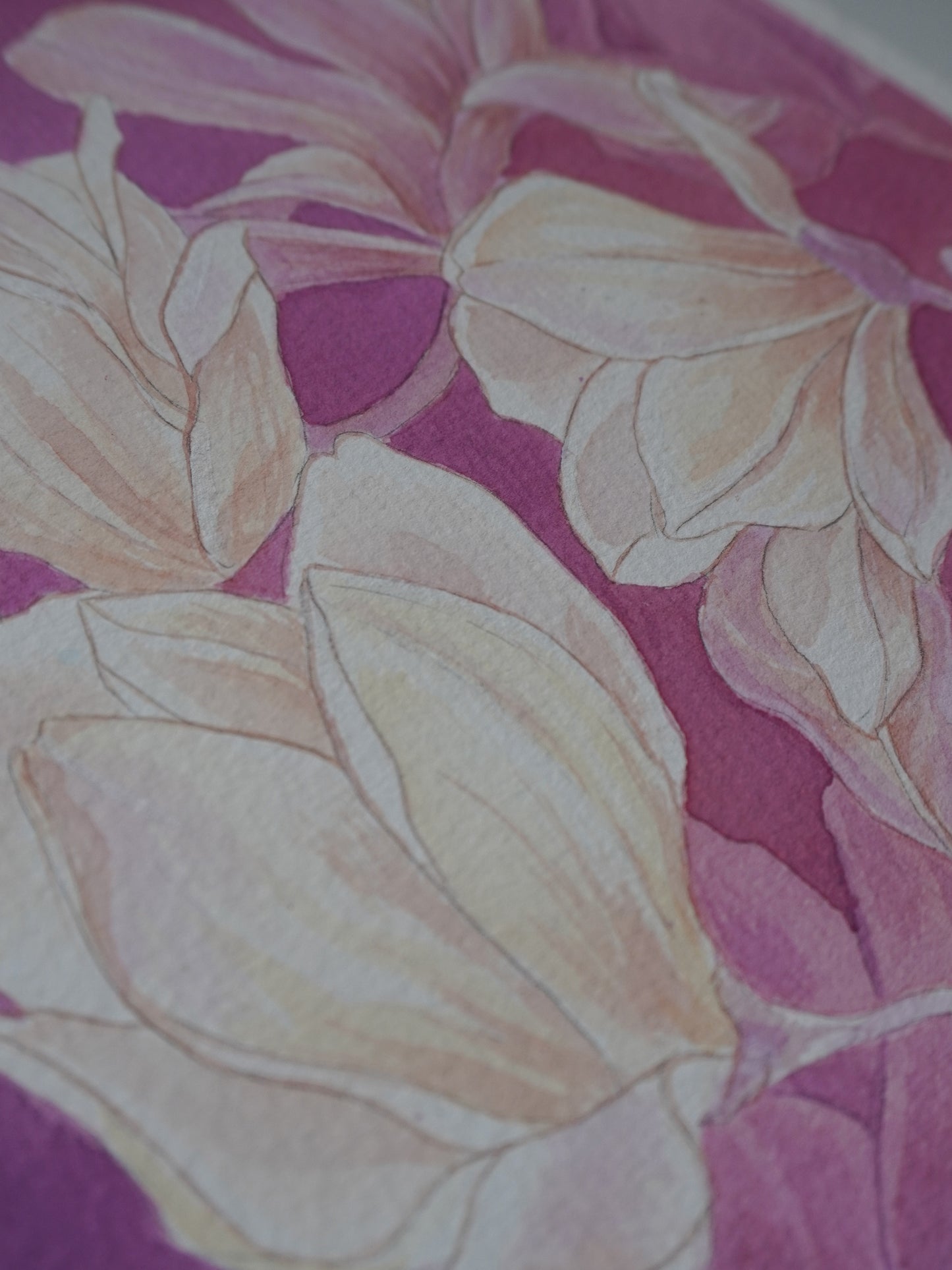 Magnolias