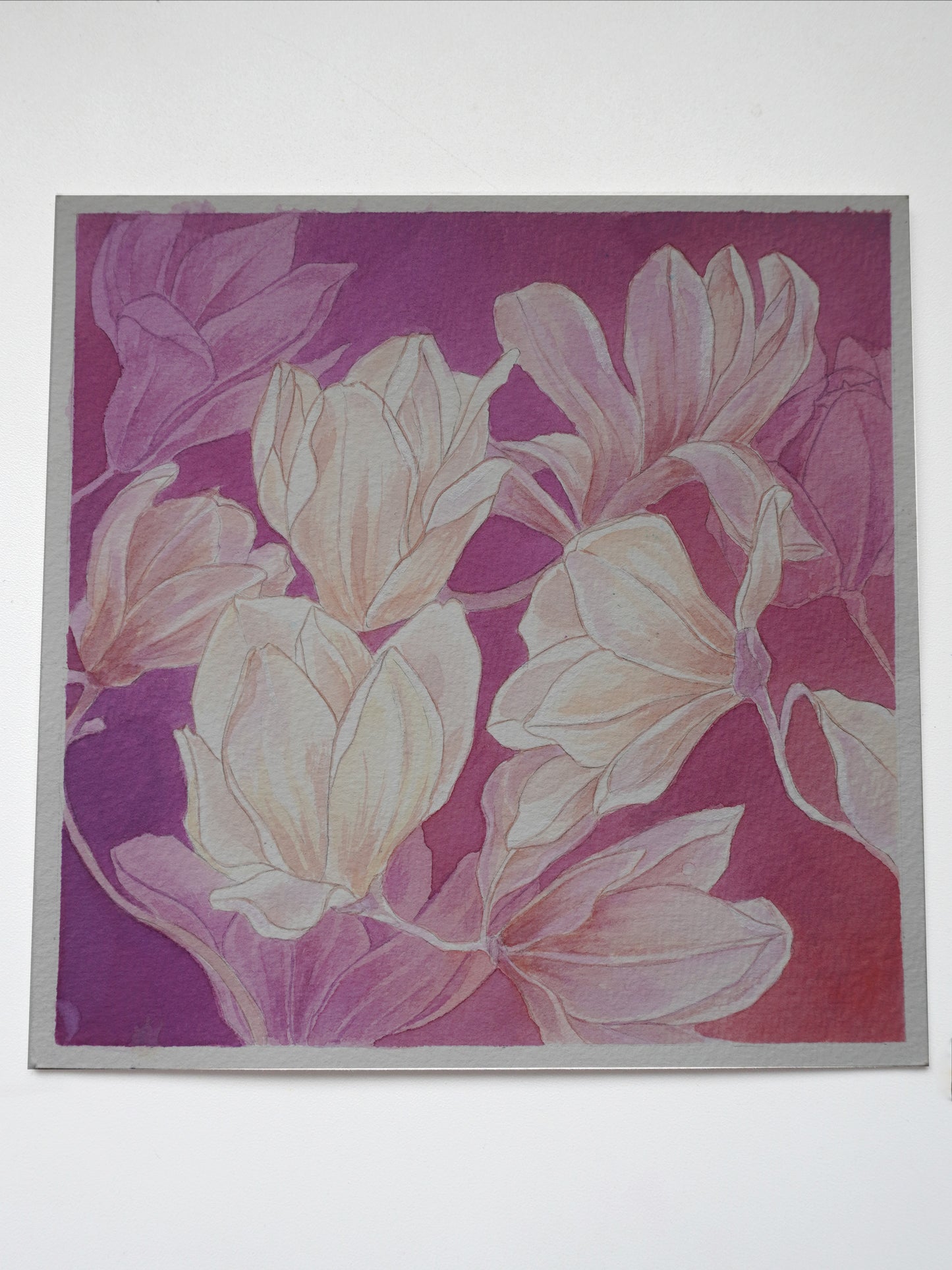 Magnolias