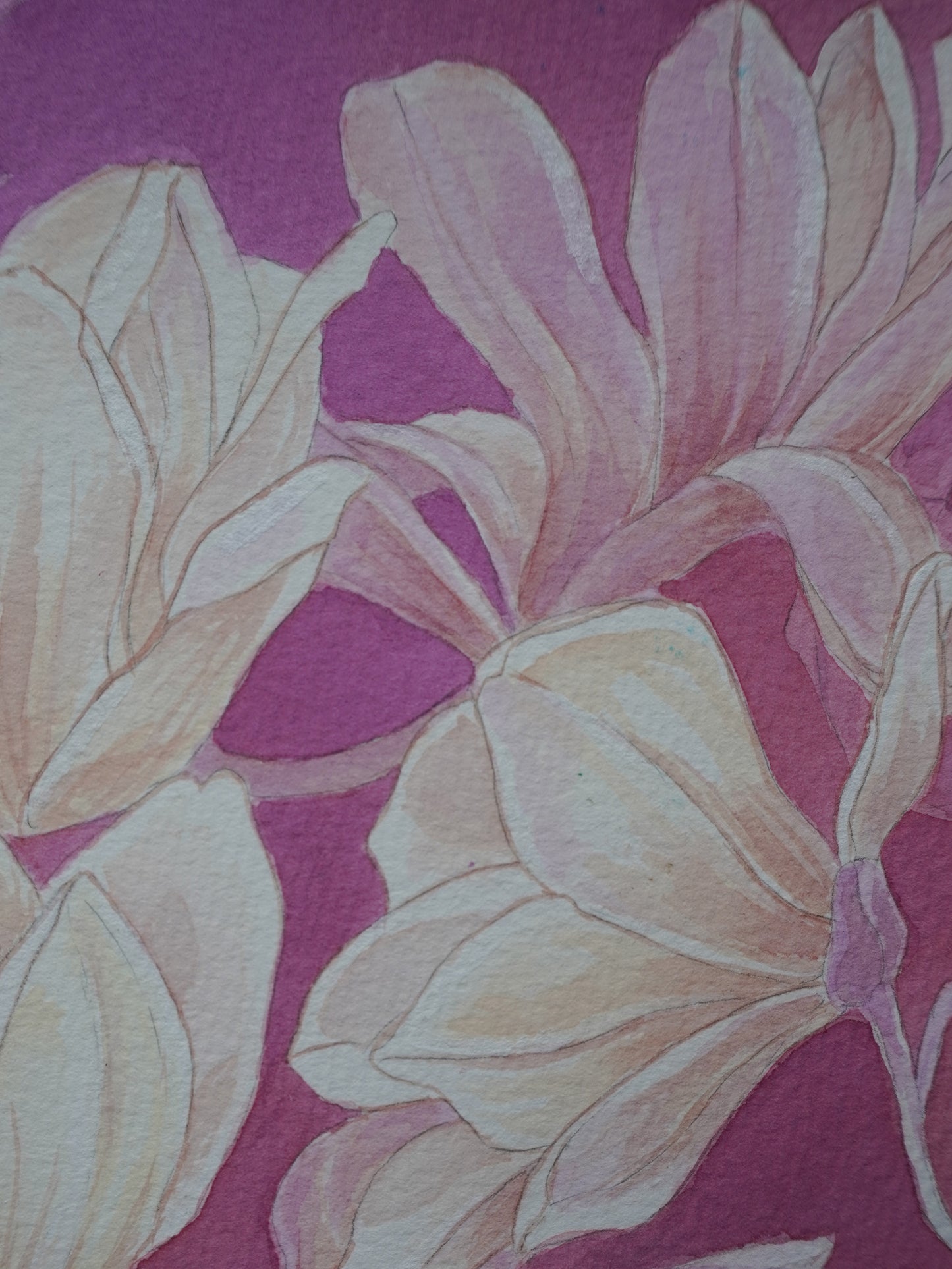 Magnolias